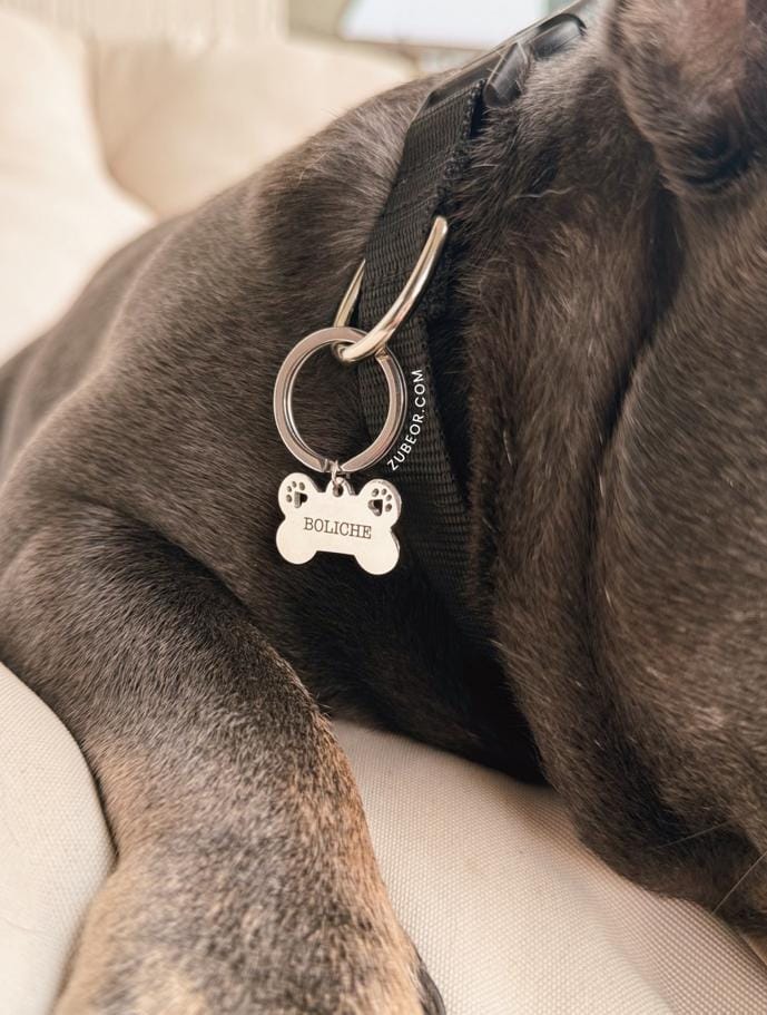 Placas hueso y huella para mascotas (solo bajo pago previo) 2