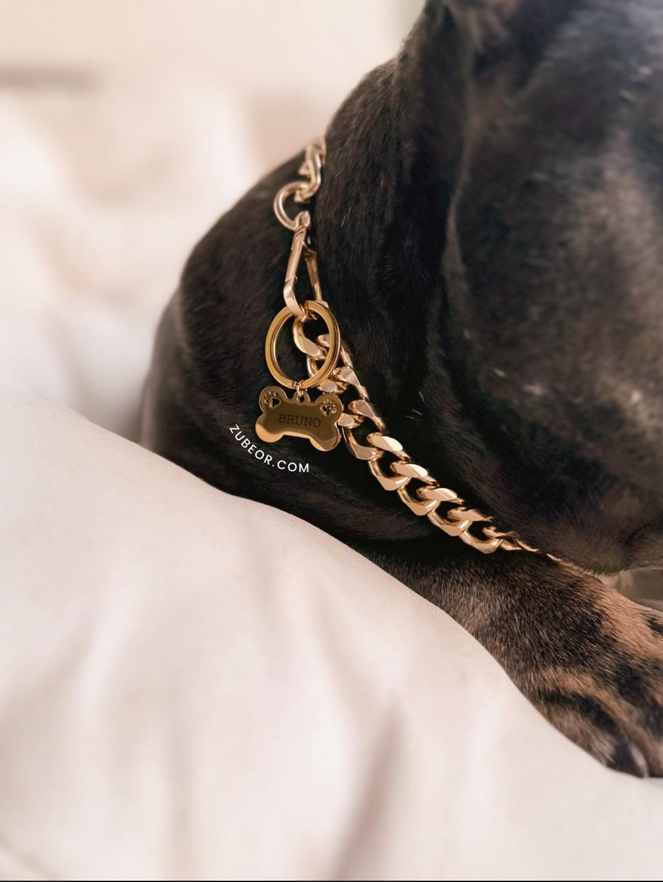 Placas hueso y huella para mascotas (solo bajo pago previo) 5
